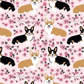 corgi spring florals fabric cherry blossom designs