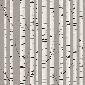 Gray Birch Trees