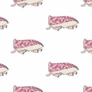 Pink Fairy Armadillos