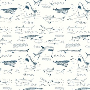 Sharks pattern