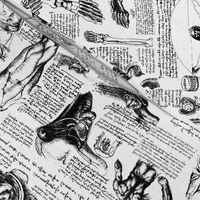 Da Vinci's Anatomy Sketchbook // Small