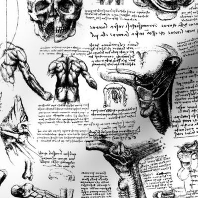 Da Vinci's Anatomy Sketchbook // Small