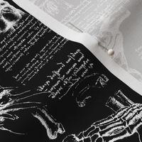 Da Vinci's Anatomy Sketchbook //  Black // Small