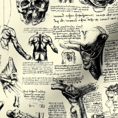 Da vinci's Anatomy Sketchbook // Parchment // Small