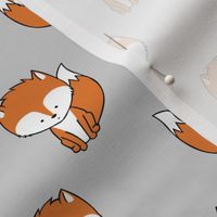 baby fox || orange and grey