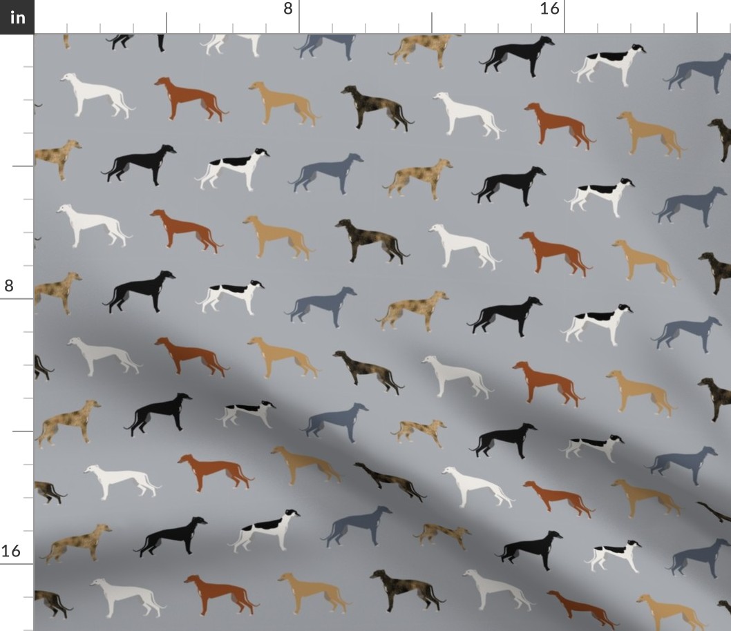 Greyhounds pattern grey multi colored coats 