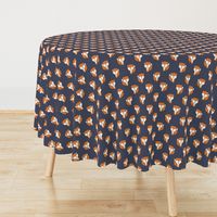 baby fox || orange and dark blue