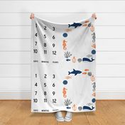 54" x 36" milestone blanket - nautical for 52" + WIDE FABRICS ONLY