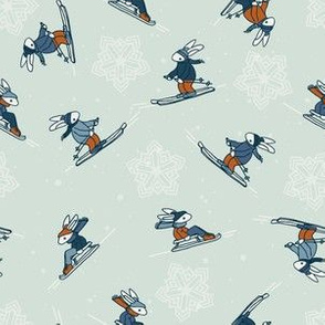 Rabbit on sleigh and ski
