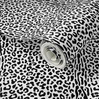 Black and White Animal Skin