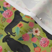 black lab florals fabric labrador retriever floral fabric