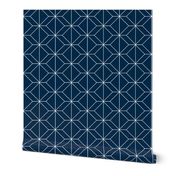 Geometry French Navy