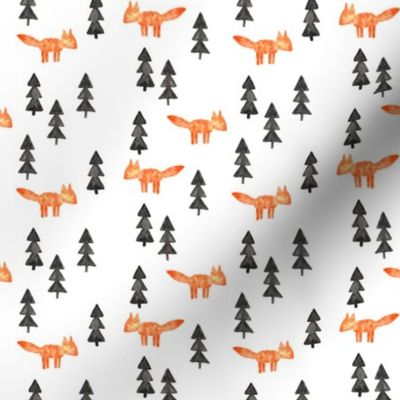 fox woods || orange watercolor