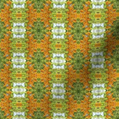 Orange_Kangaroo_Paw_Pattern_Green_Background