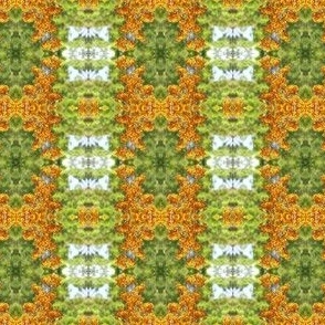 Orange_Kangaroo_Paw_Pattern_Green_Background