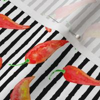 chili pepper on stripes 