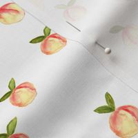 watercolor peaches || white