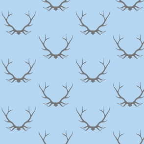 Antlers- black and white - Buck deer-ch