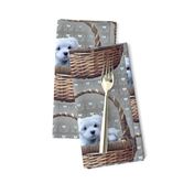 maltese_in_basket