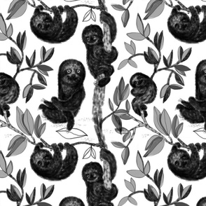 Anne Grön – Three Toed Sloth