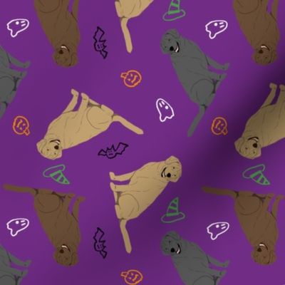 Tiny Labrador Retrievers - Halloween