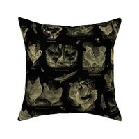 Poultry Envy Black Tan Toile 