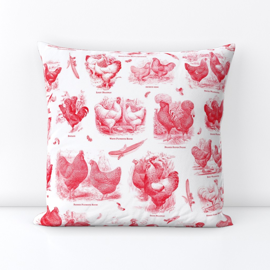 Poultry Envy White Red Toile 