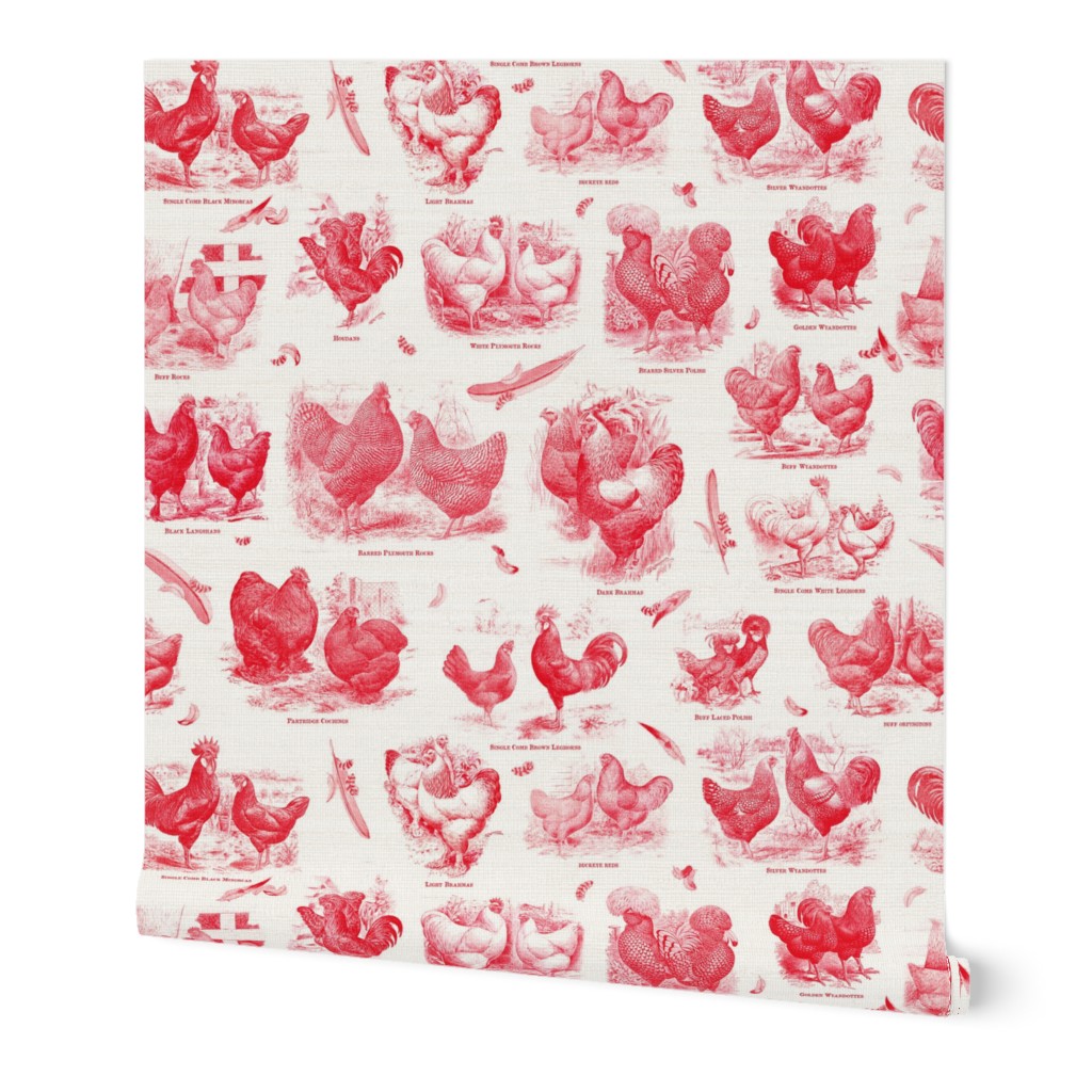 Poultry Envy White Red Toile 
