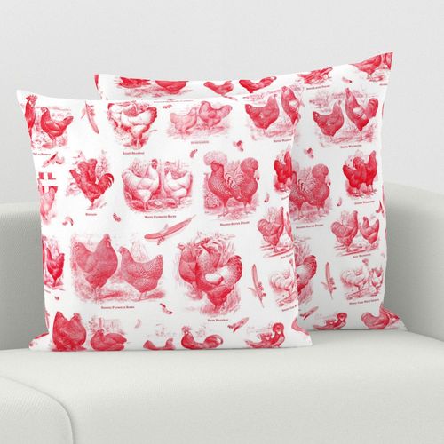 Poultry Envy White Red Toile 