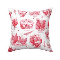 Poultry Envy White Red Toile 