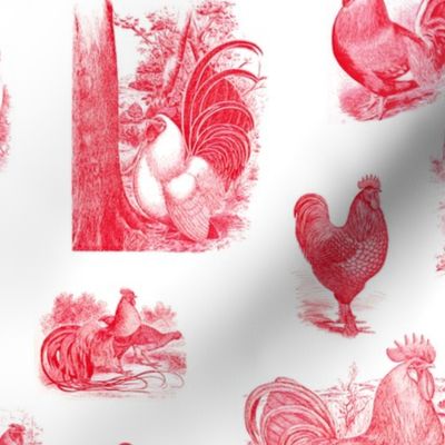 Rooster Strut White Red Toile 