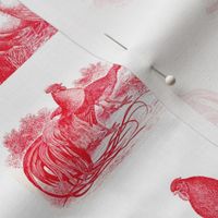 Rooster Strut White Red Toile 