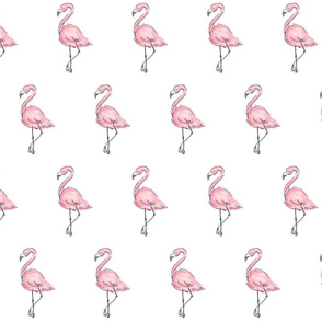 Stand Tall Flamingos