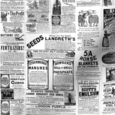 Victorian Kitchen 1880s Farmhouse Advertisements