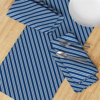 Diagonal Double Stripes in Blue and Grey