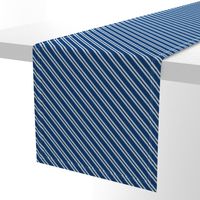 Diagonal Double Stripes in Blue and Grey