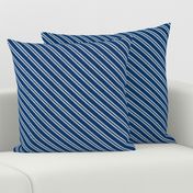 Diagonal Double Stripes in Blue and Grey