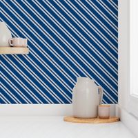 Diagonal Double Stripes in Blue and Grey