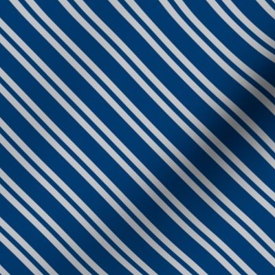 Diagonal Double Stripes in Blue and Grey