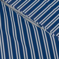 Diagonal Double Stripes in Blue and Grey