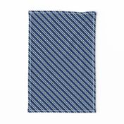 Diagonal Double Stripes in Blue and Grey