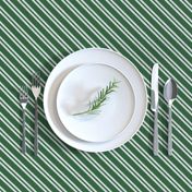 Diagonal Double Stripes in Green and Grey