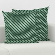 Diagonal Double Stripes in Green and Grey