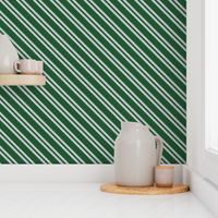 Diagonal Double Stripes in Green and Grey