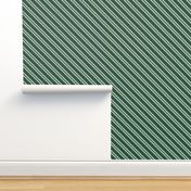 Diagonal Double Stripes in Green and Grey