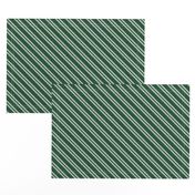 Diagonal Double Stripes in Green and Grey