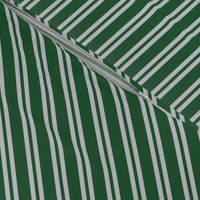 Diagonal Double Stripes in Green and Grey