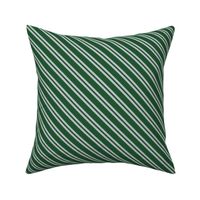 Diagonal Double Stripes in Green and Grey