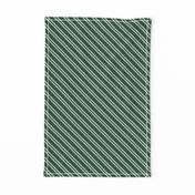 Diagonal Double Stripes in Green and Grey