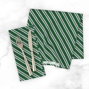 Diagonal Double Stripes in Green and Grey